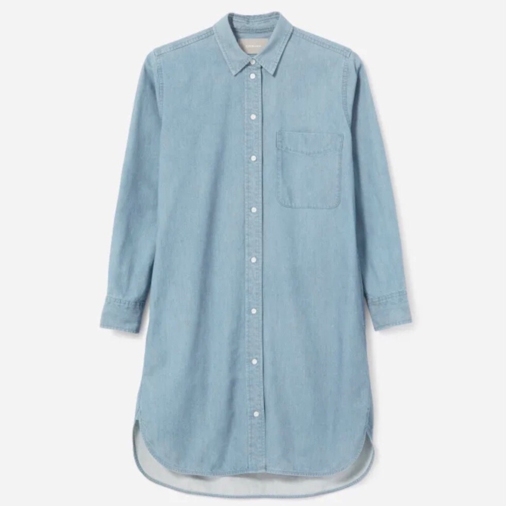 Everlane Cotton Jean Dress in Light Indigo